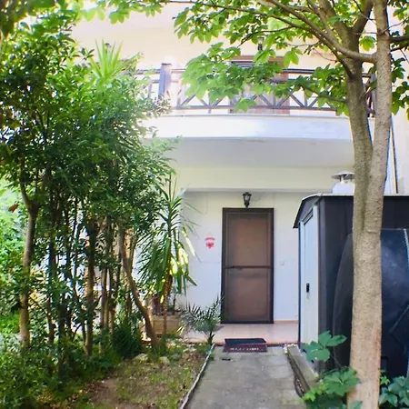 Family's Summer House *